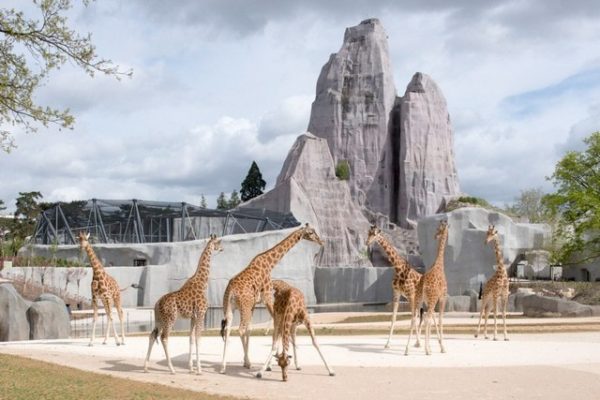 حديقة حيوانات باريس