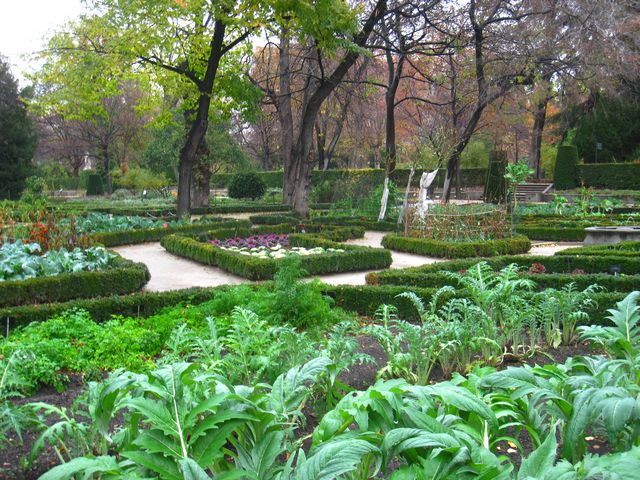 الحديقة النباتية الملكية في مدريد