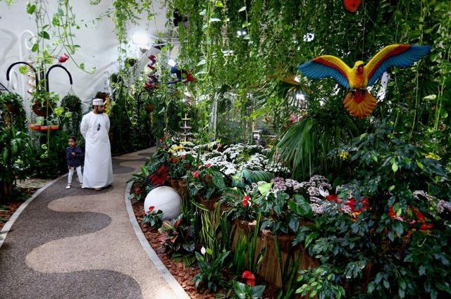 حديقة الفراشات دبي
