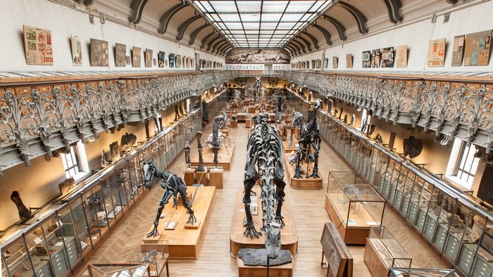 المتحف الوطني للتاريخ الطبيعي باريس