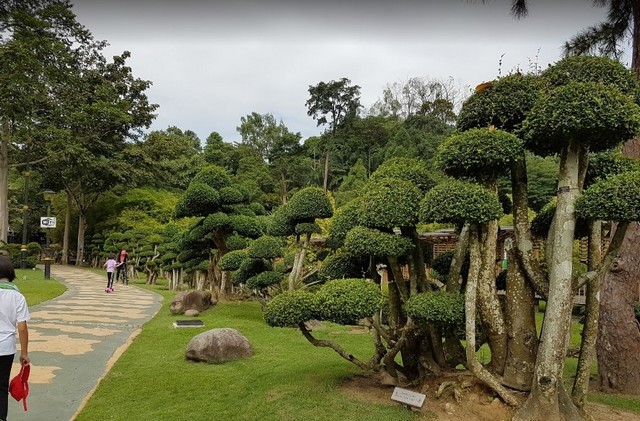 حديقة بيردانا النباتية افضل الاماكن السياحية في كوالالمبور