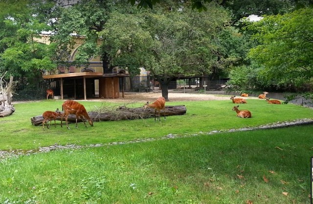 زيارتي الى حديقة حيوان برلين بنات بطوطة