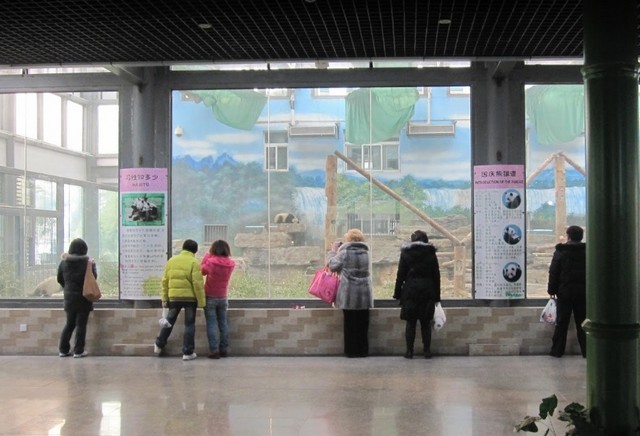 حديقة حيوانات بكين