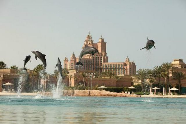 خليج الدلافين في دبي