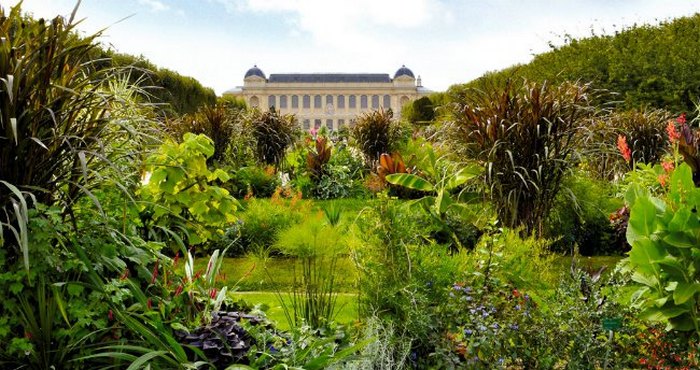 حديقة النبات في باريس
