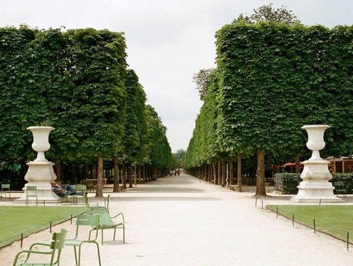 حديقة التويلري باريس من اهم المناطق السياحية في باريس