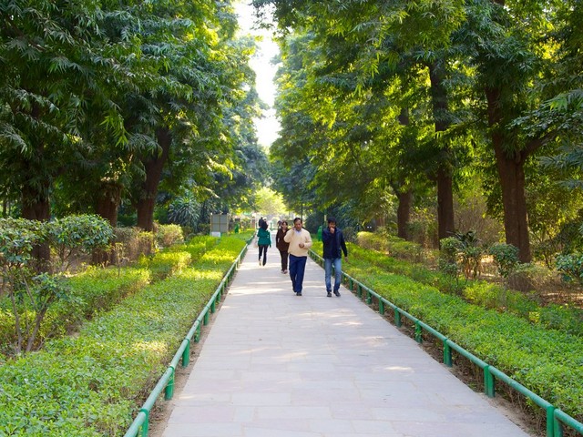 حدائق لودي في دلهي