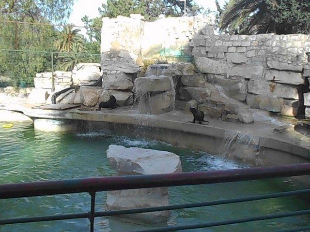 حديقة حيوانات تونس