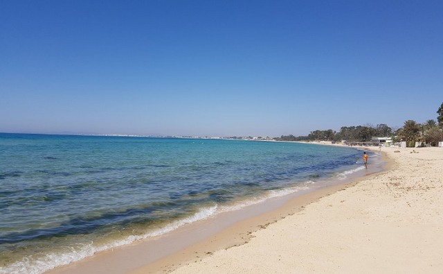 شاطئ الحمامات تونس