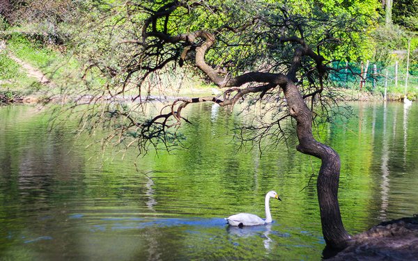 istanbul-ataturk-park