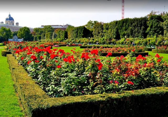 حديقة الزهور فيينا