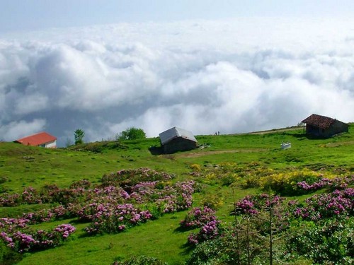 فنادق طرابزون على الجبل